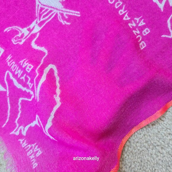 RARE J. Crew *PINK* Wool Scarf Cape Cod Map Massachusetts Beach Provincetown - Picture 11 of 13